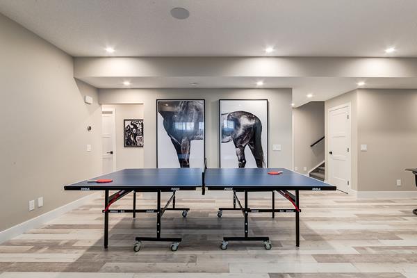 Amelia Harmony - Basement Flex Space 2