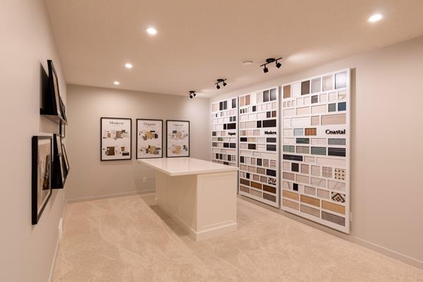 Basement Development
