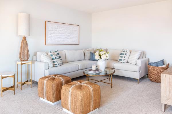 Sage - Bonus Room