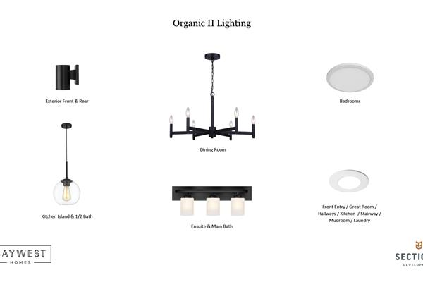 Organic II -  Lighting